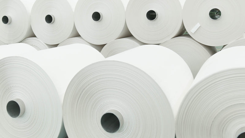 Karst's Stone Paper vs Traditional Paper
