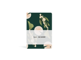 Julie Solvstrom Notebook - Curious Minds